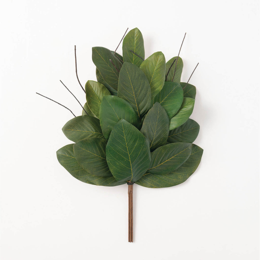 Magnolia Leaf Bush            