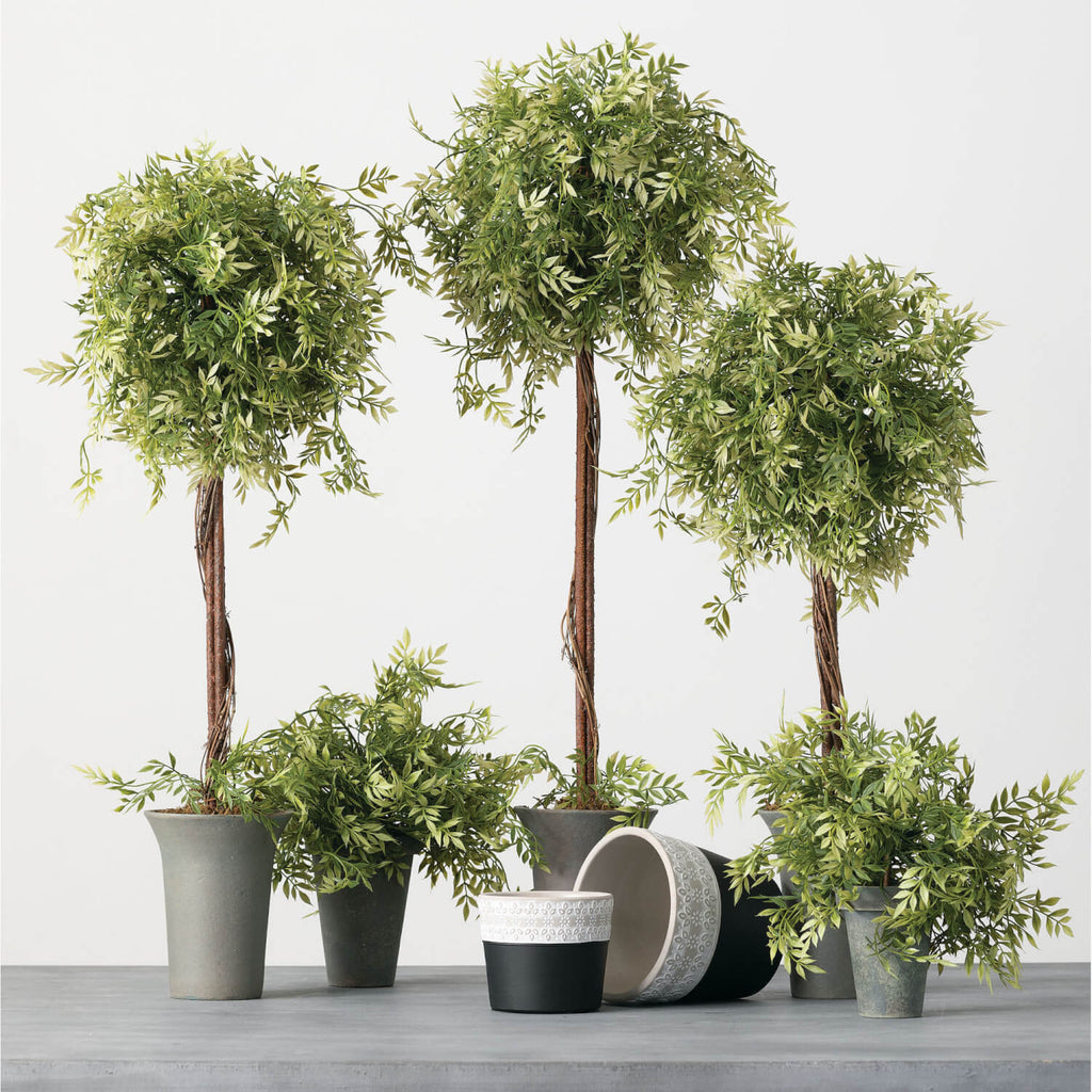 Wisteria Topiary Set Of 3     