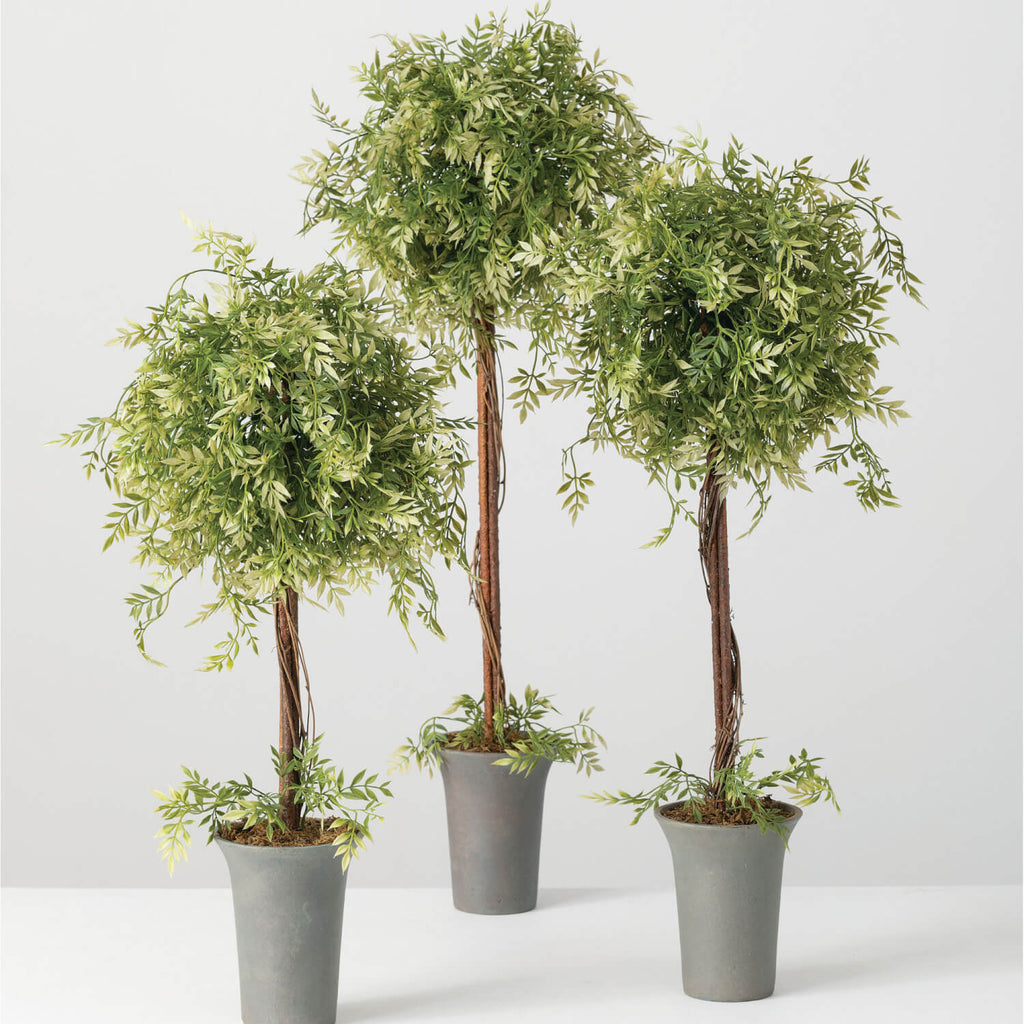 Wisteria Topiary Set Of 3     