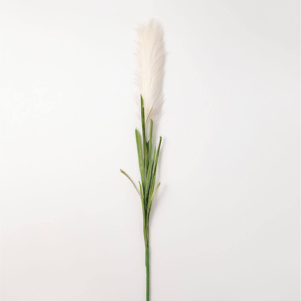 Pampas Grass Stem             