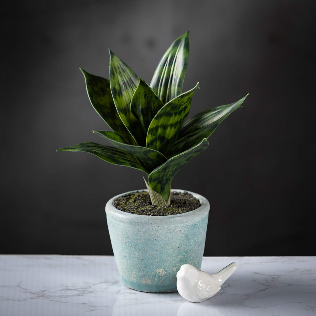 Life-Like Potted Sansevieria  