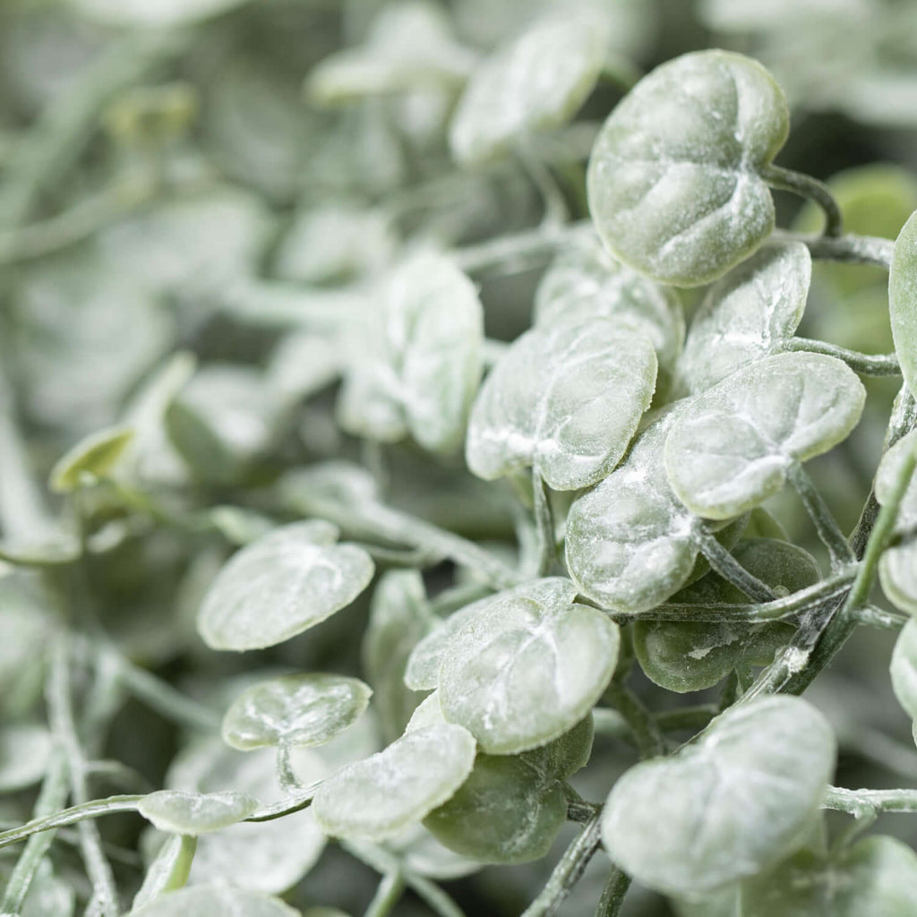 Dusty Green Mini Leaf Vine    