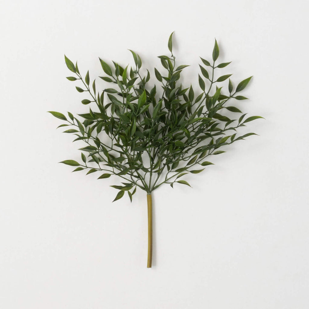 Leafy Green Ruscus Bush       