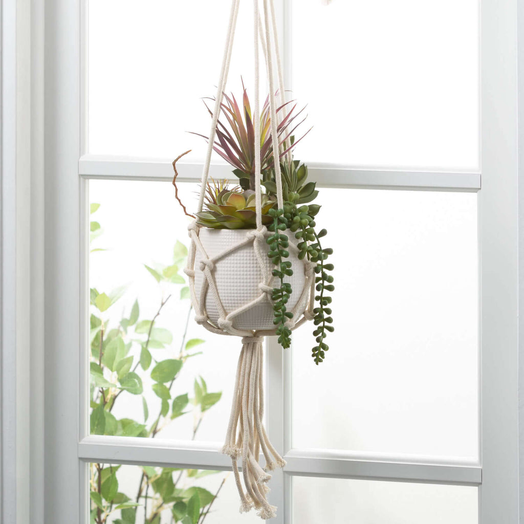 Macrame Pendant Succulent     