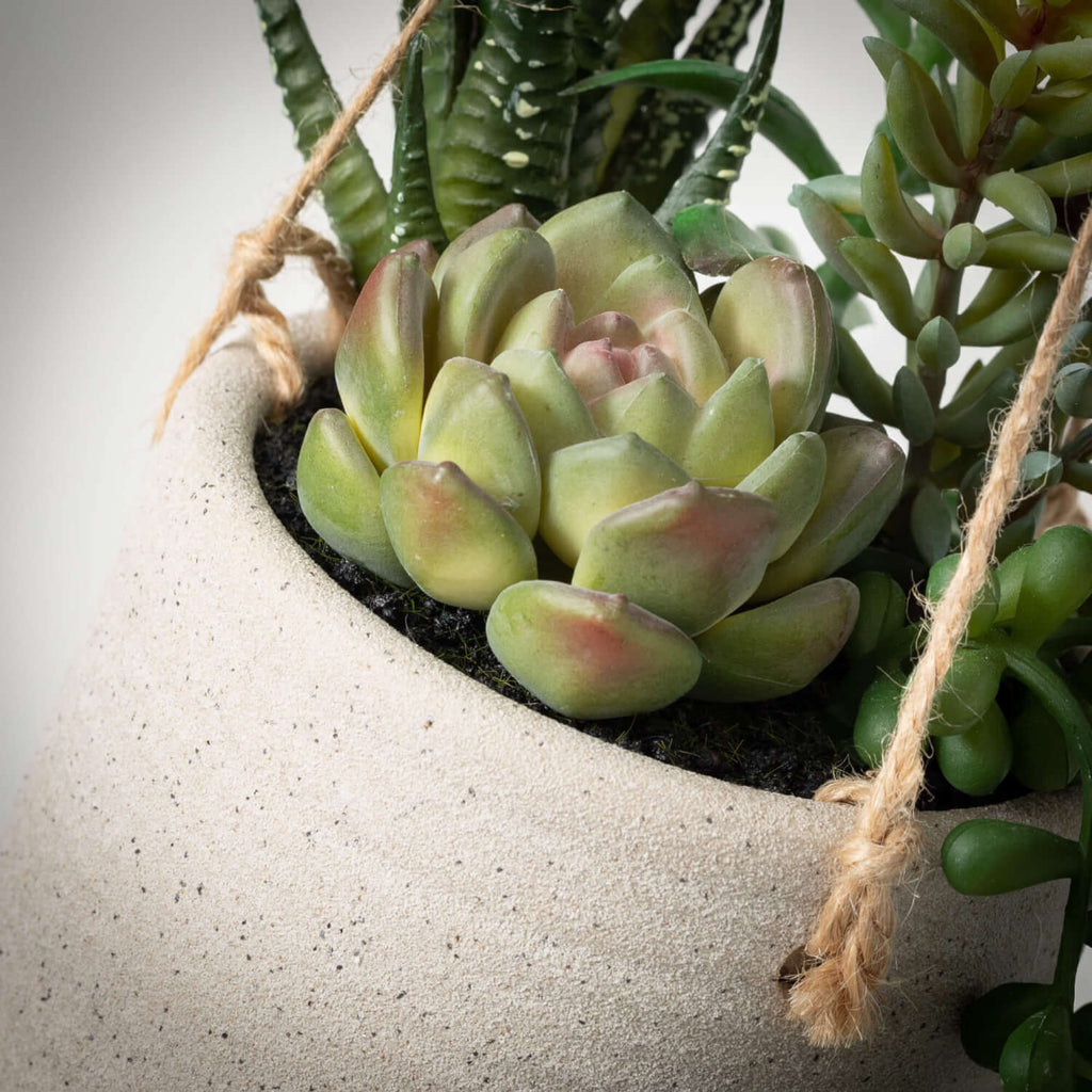 Hanging Succulent Premade     