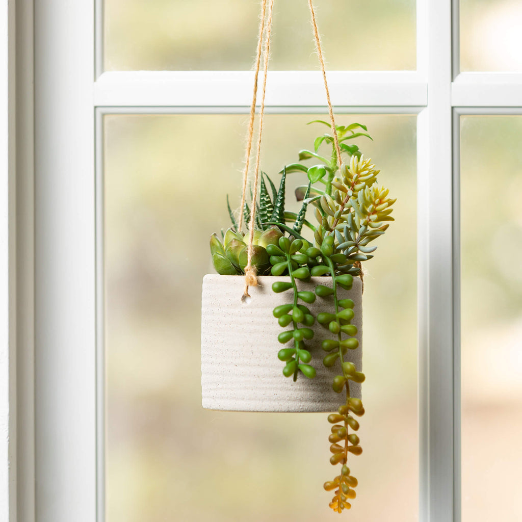 Hanging Succulent Premade     