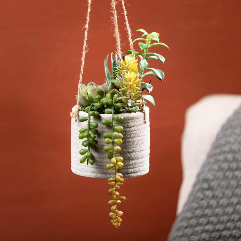 Hanging Succulent Premade     