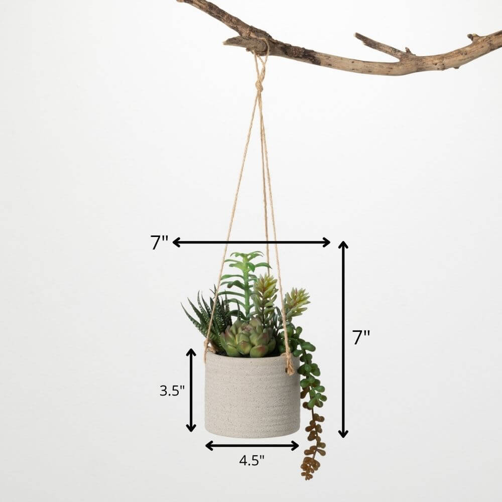 Hanging Succulent Premade     