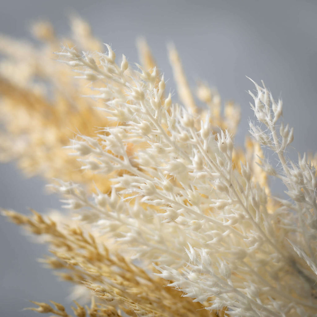 Wheat-Colored Grassy Bush Set 