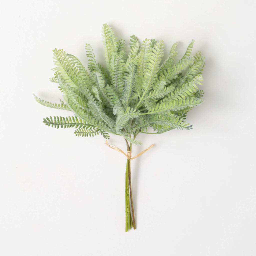 Mini Mint Green Fern Bush     