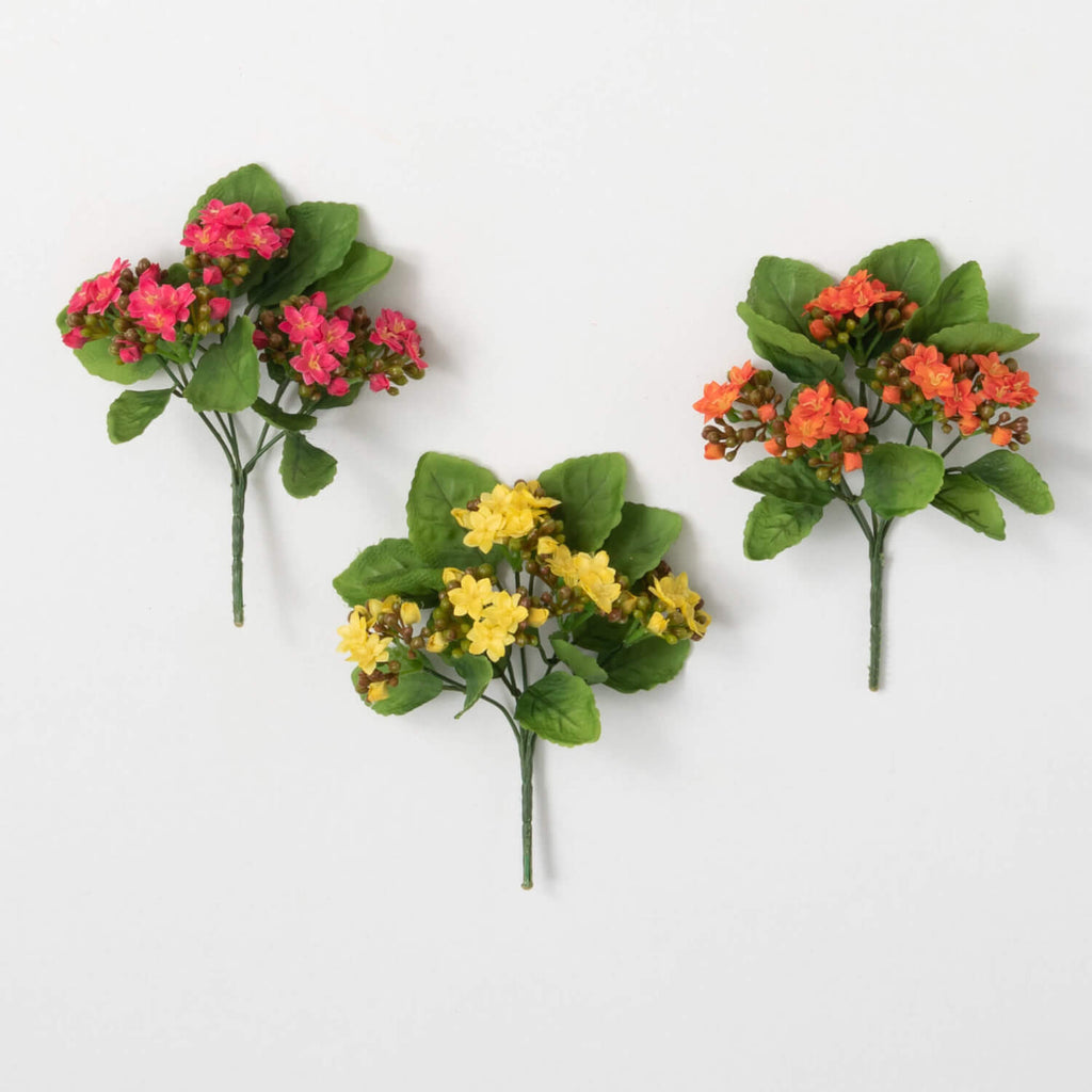 Kalanchoe Flower Bush Set Of 3