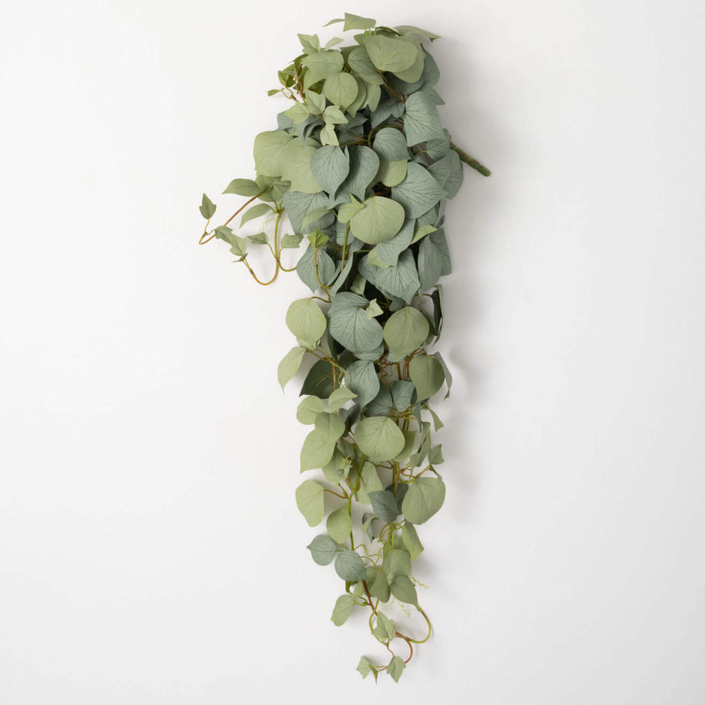 Grape Ivy Leaf Draping Bush   