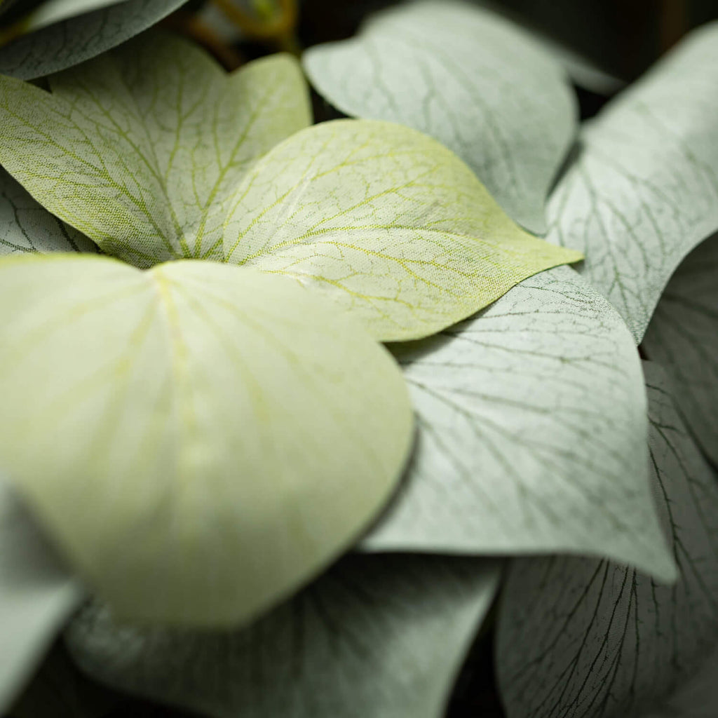 Grape Ivy Leaf Draping Bush   