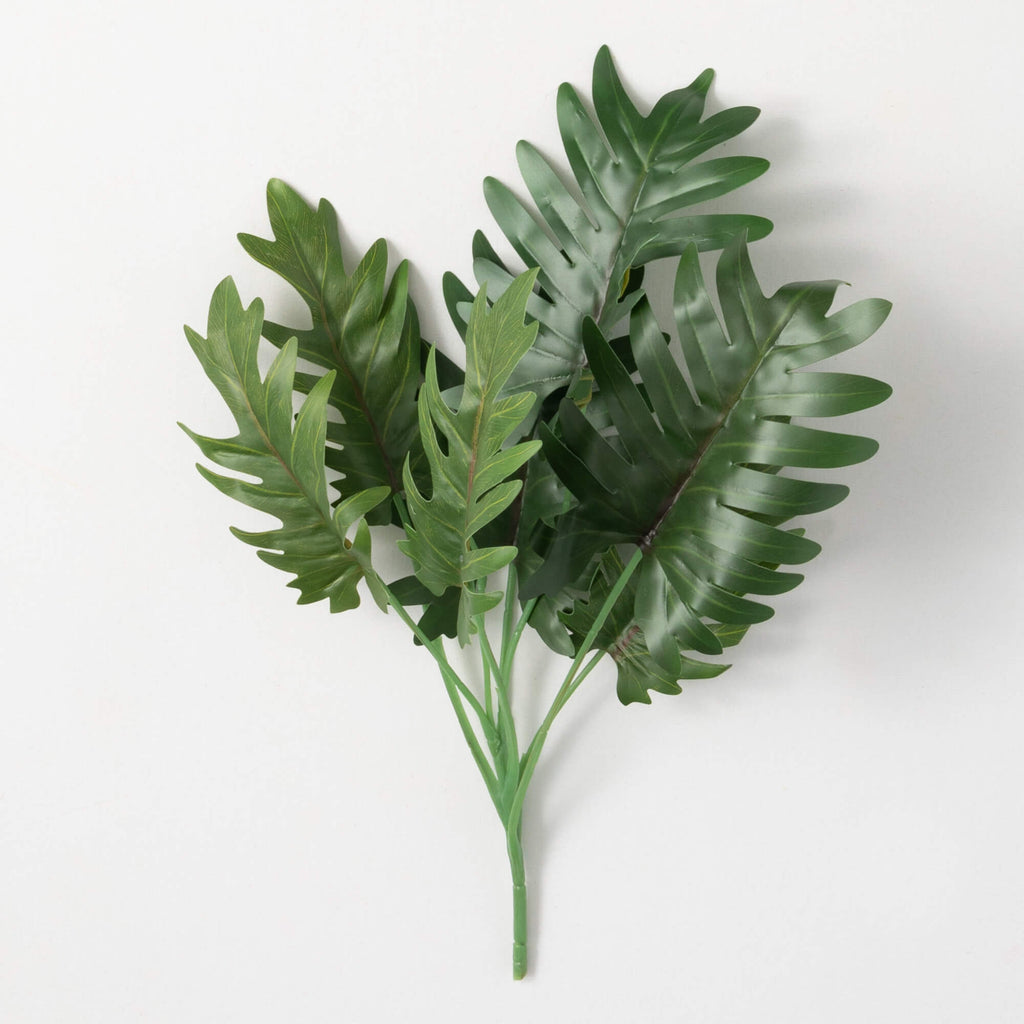 No-Fuss Philodendron Leaf Bush