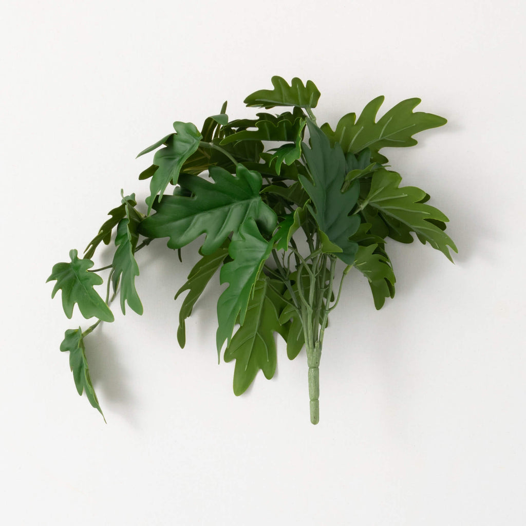 Philodendron Leaf Bush        