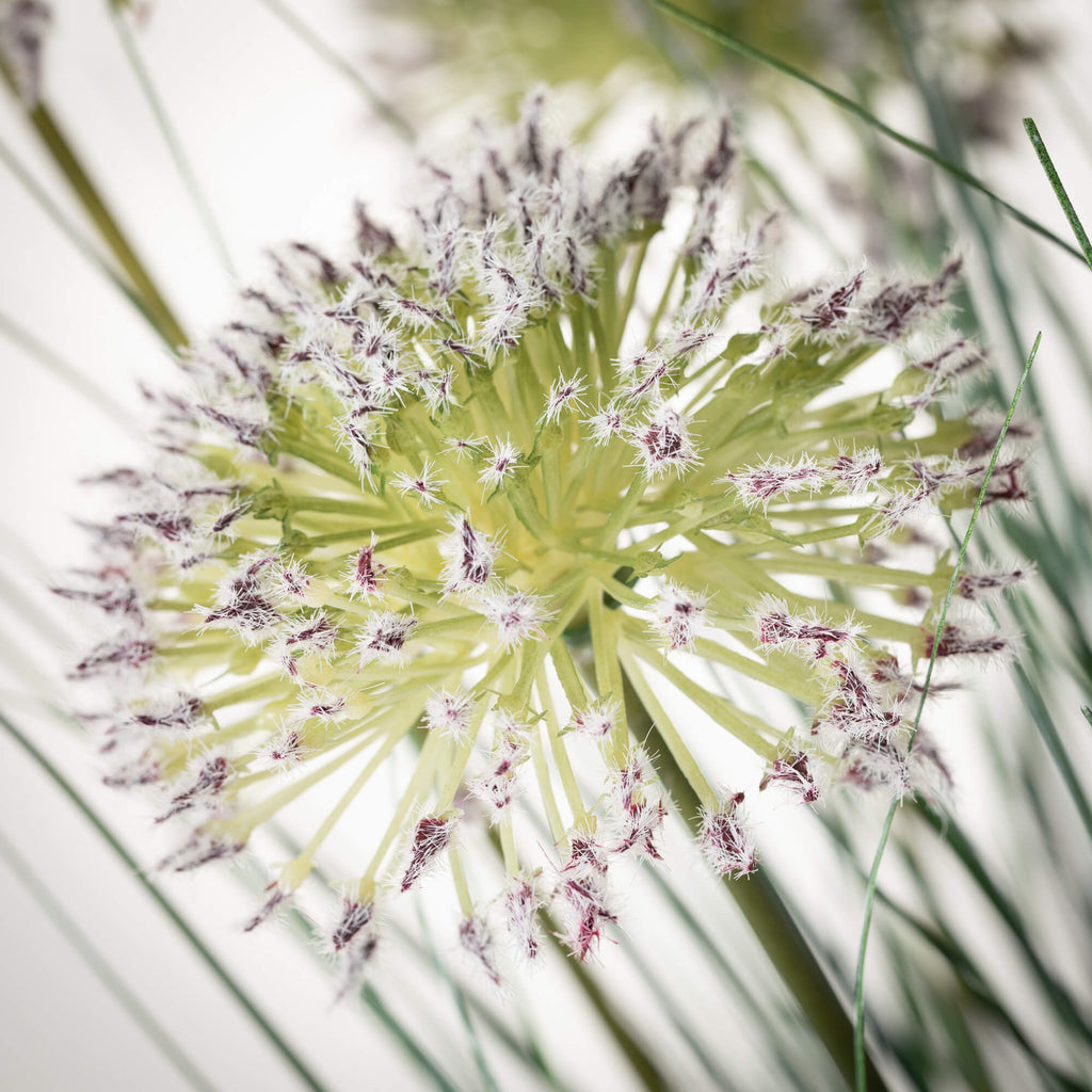 Medium Potted Puff Green Grass