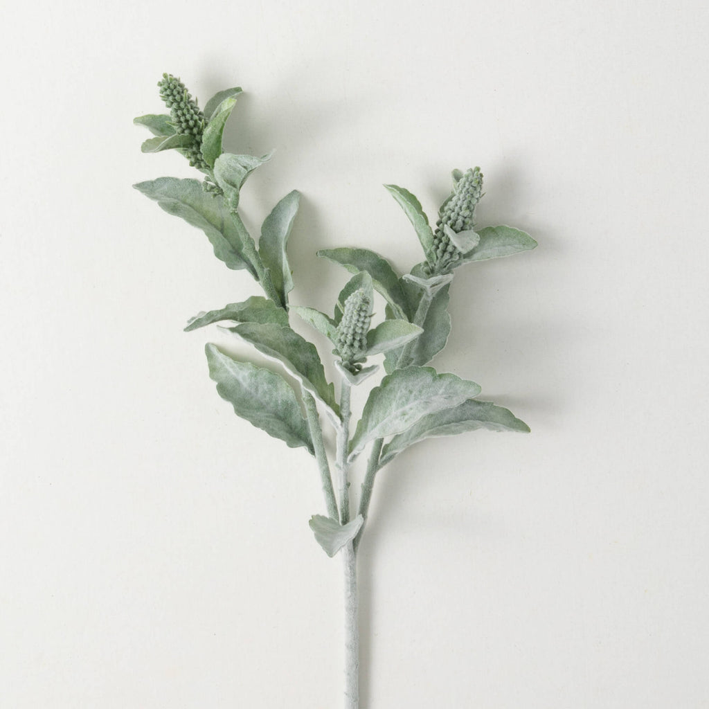 Tall Green Lamb'S Ear Spray   