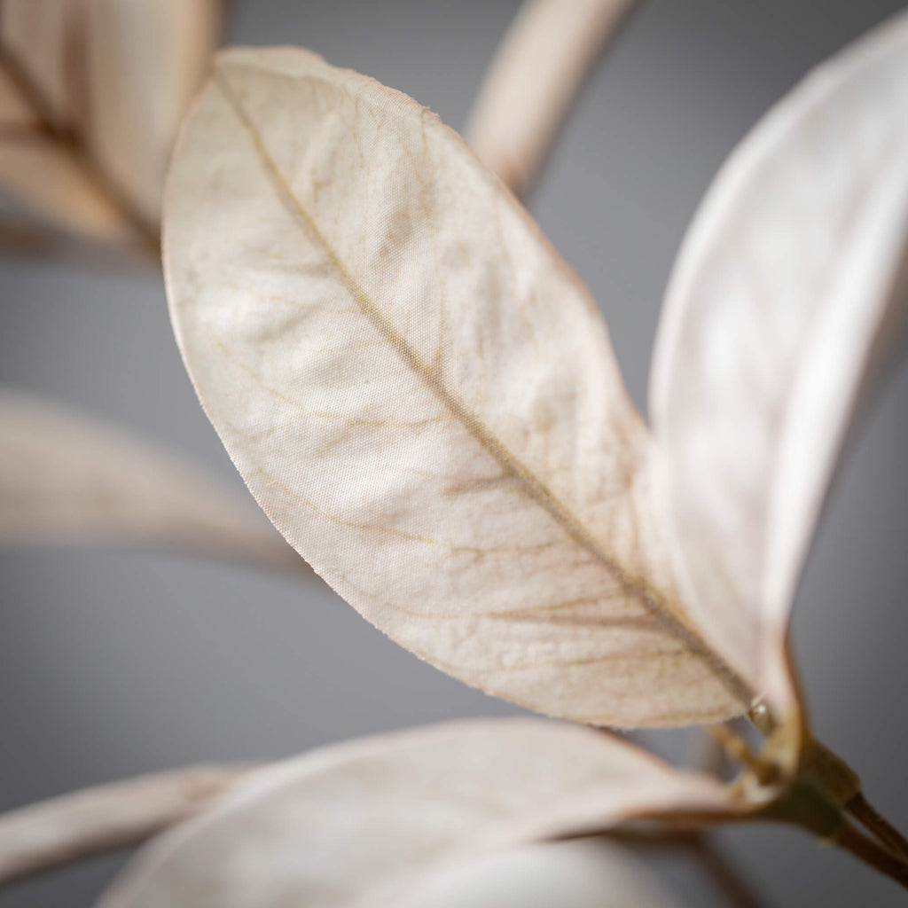 31" Tall Bicolor Croton Spray 