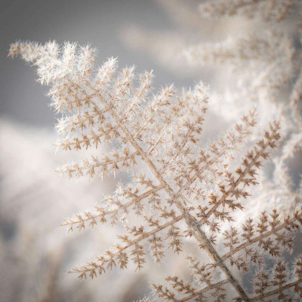 Mauve Fern Spray              