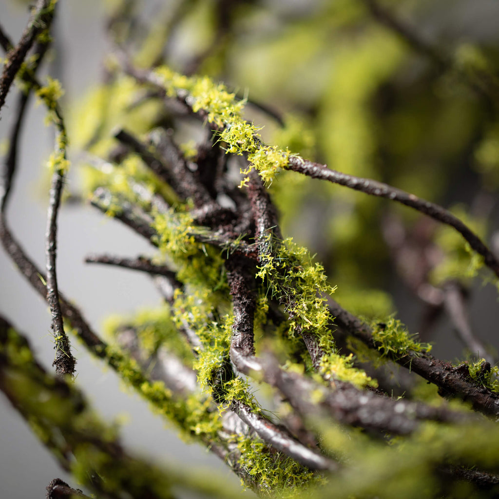 Mossy Twig Wreath             