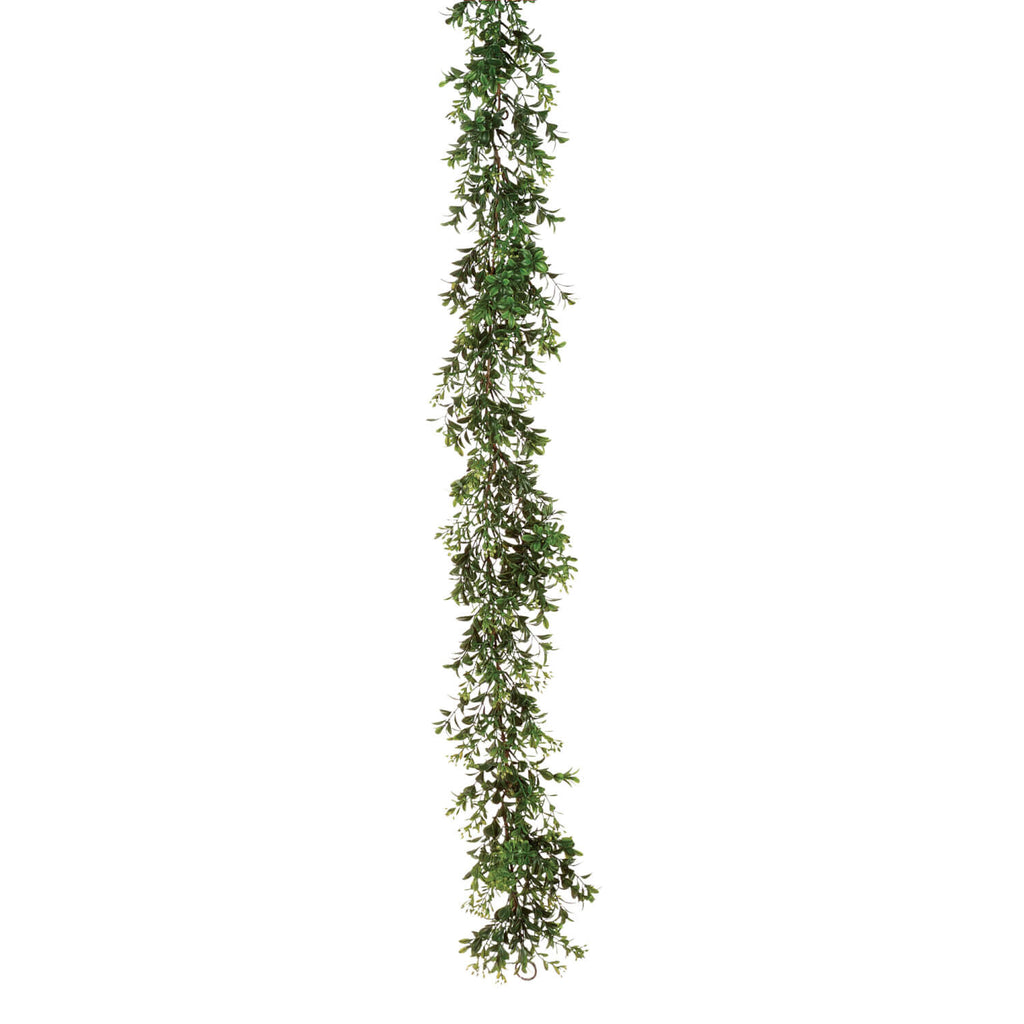 Boxwood Garland               