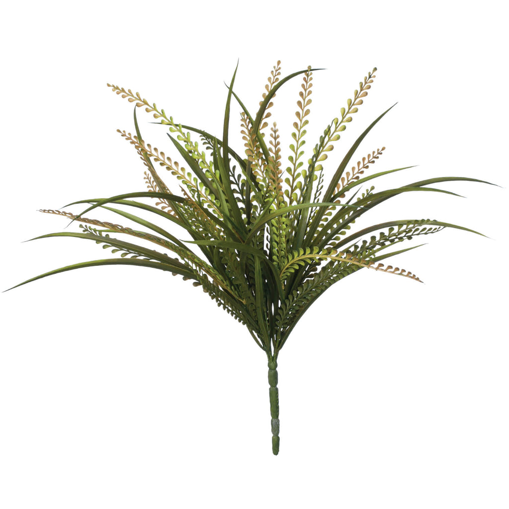 Dentata Leaf Grass Pick       