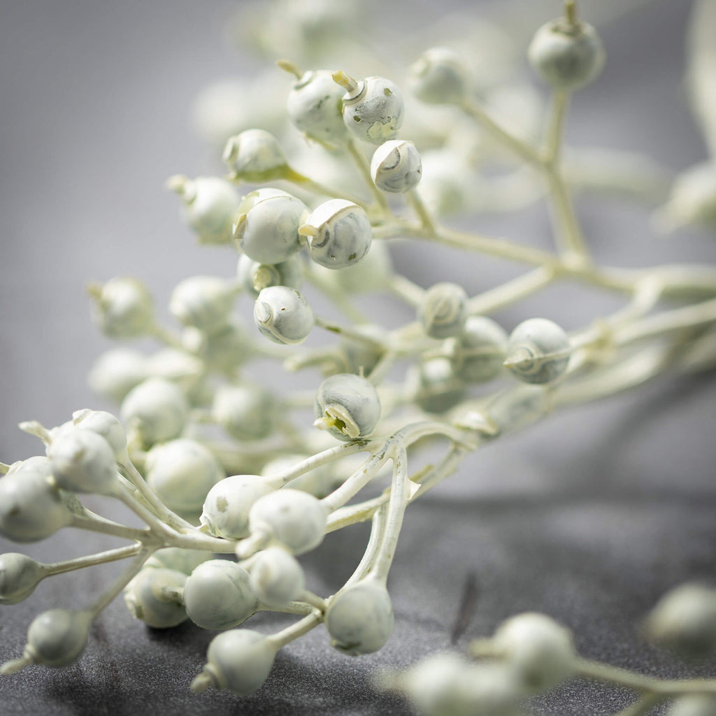 Cream Green Brilliant Berries 