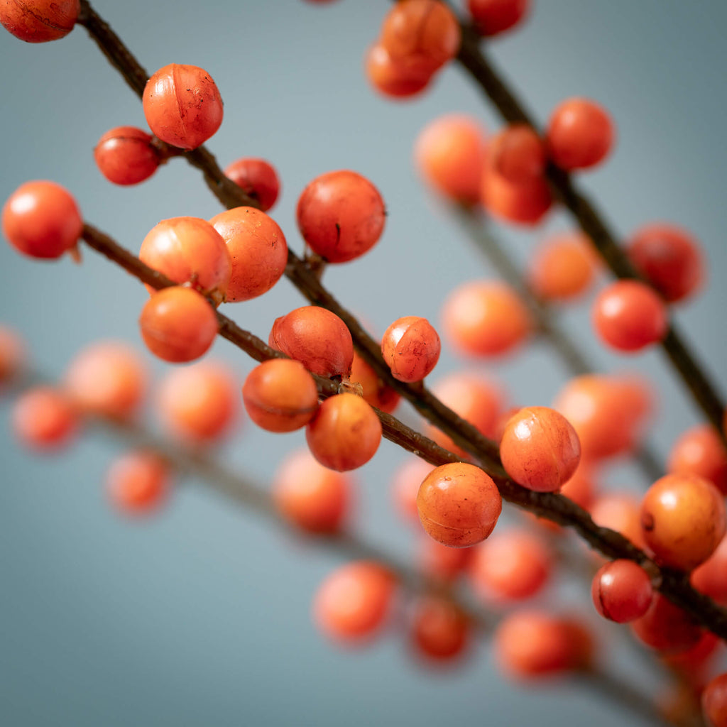 Fall Orange Ilex Berry Spray  