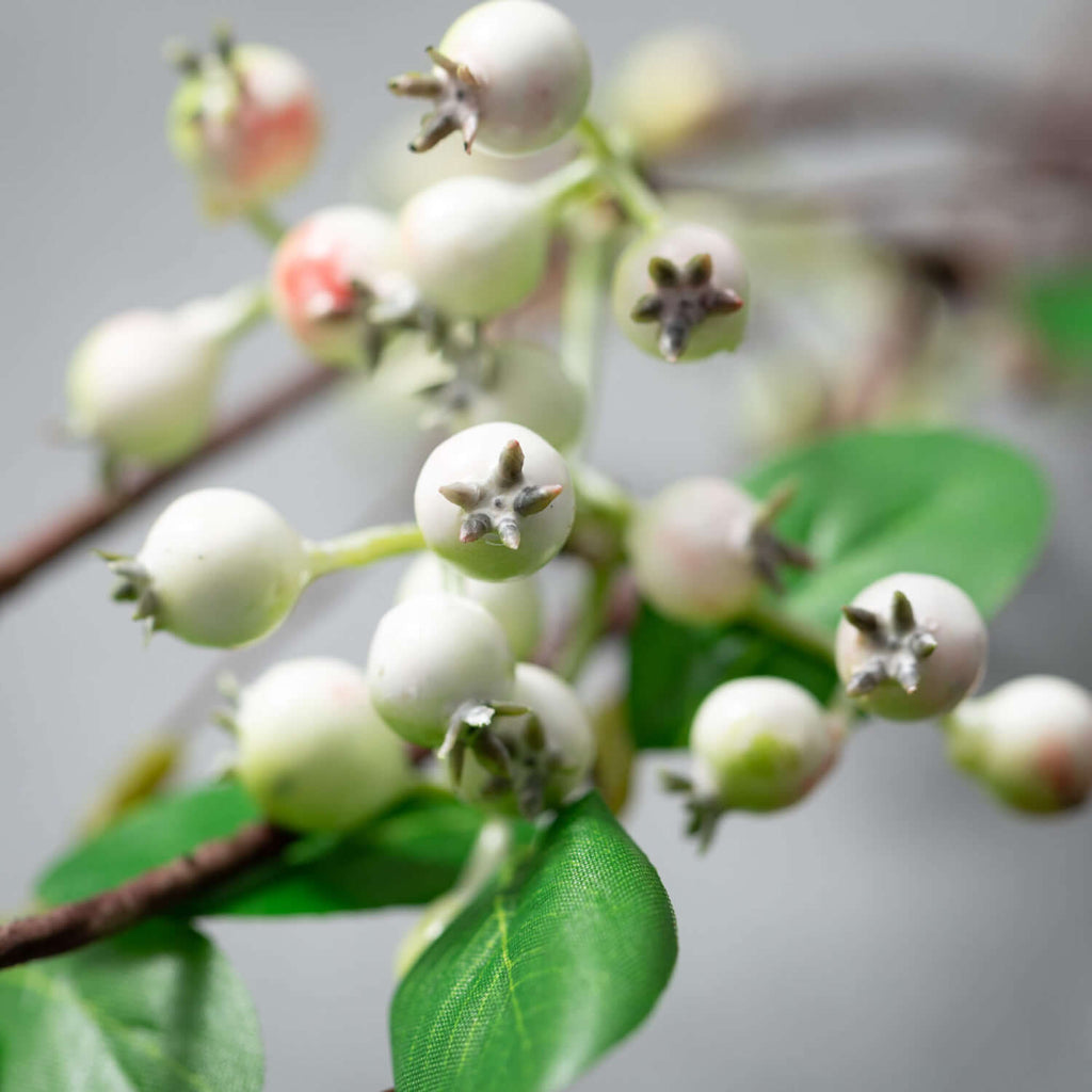 Creamy Berry Long Drop Stem   