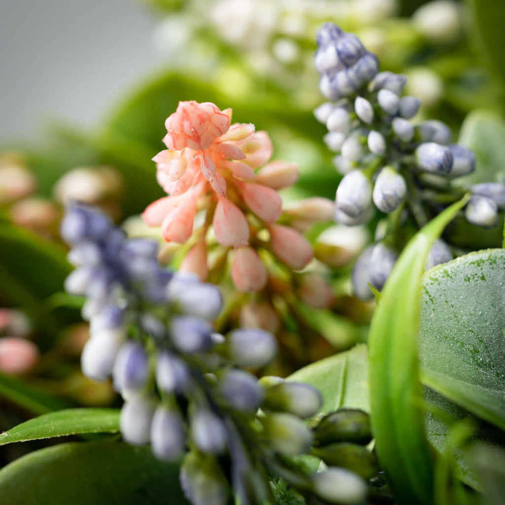 Pastel Grape Hyacinth Bundles 