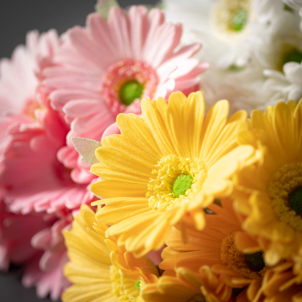 Spring Gerbera Daisy Bush Set 