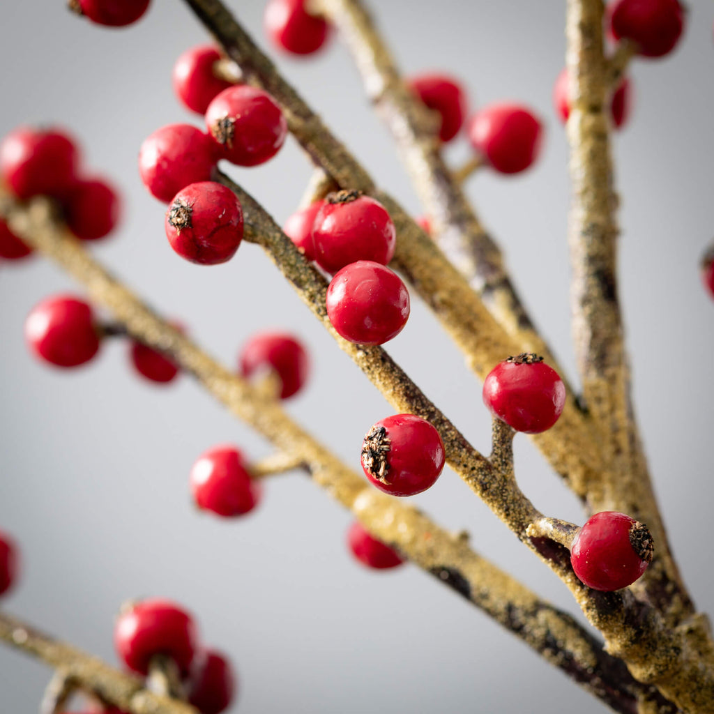 Cheerful Red Berry Spray      