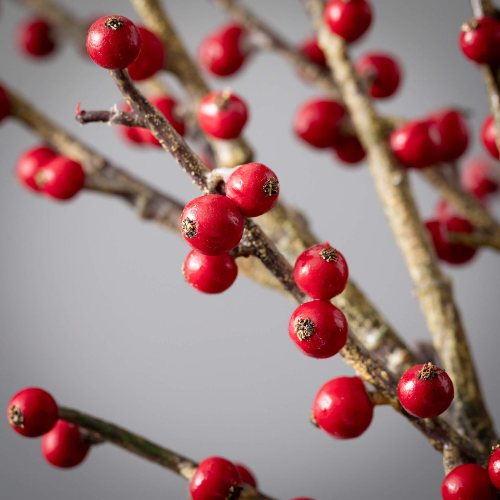 Tall Cheerful Red Berry Spray 