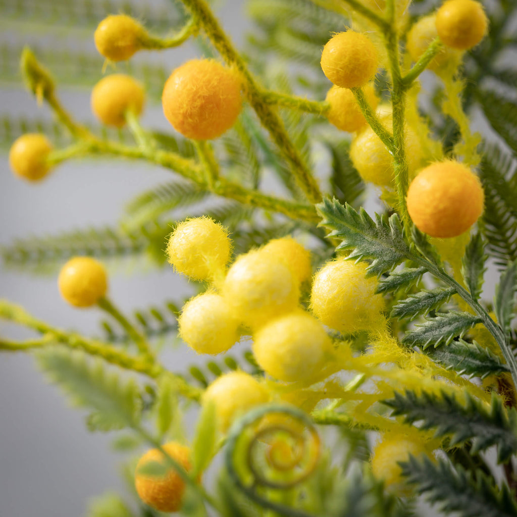 Acacia Fern Foliage Pick      