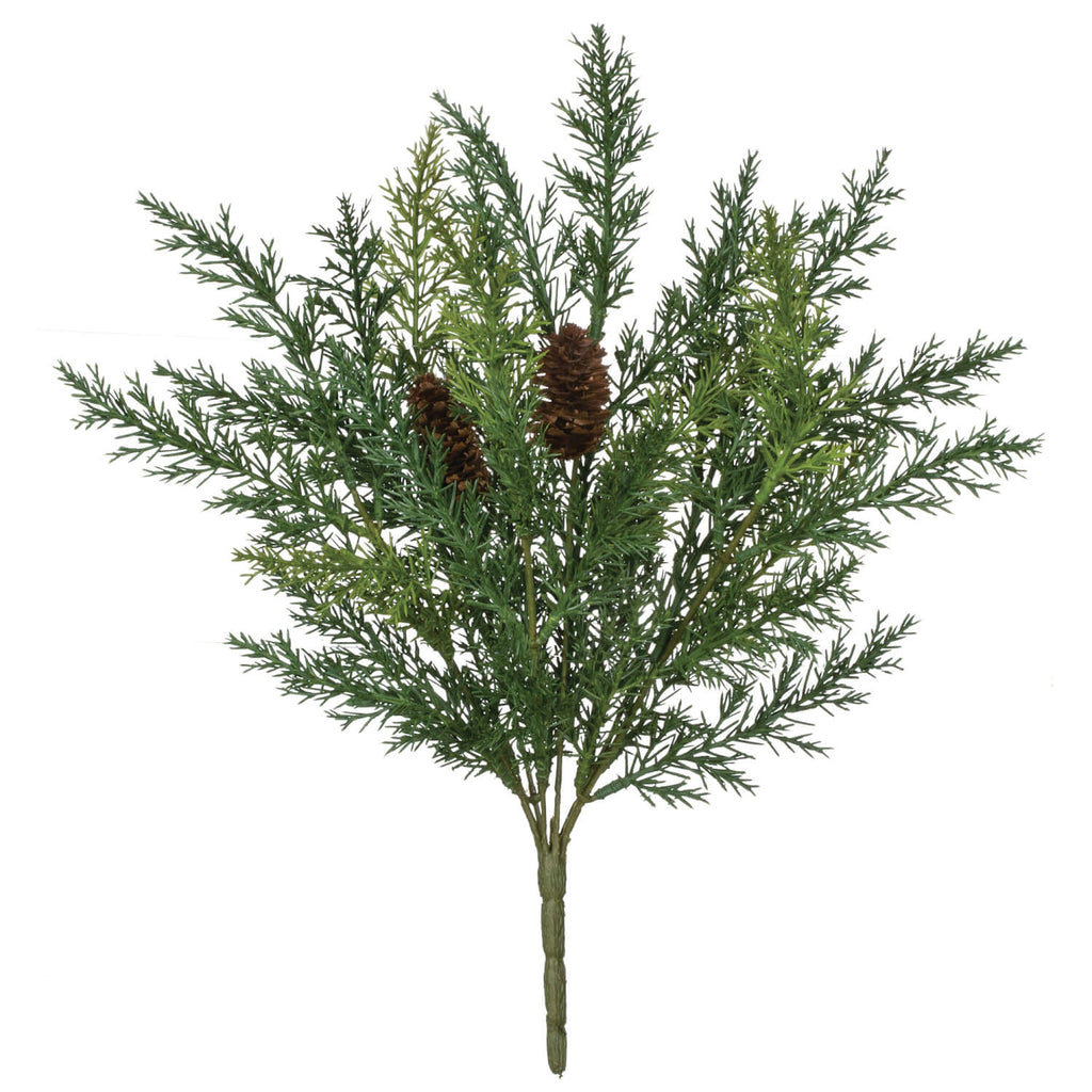 Arborvitae Bush               