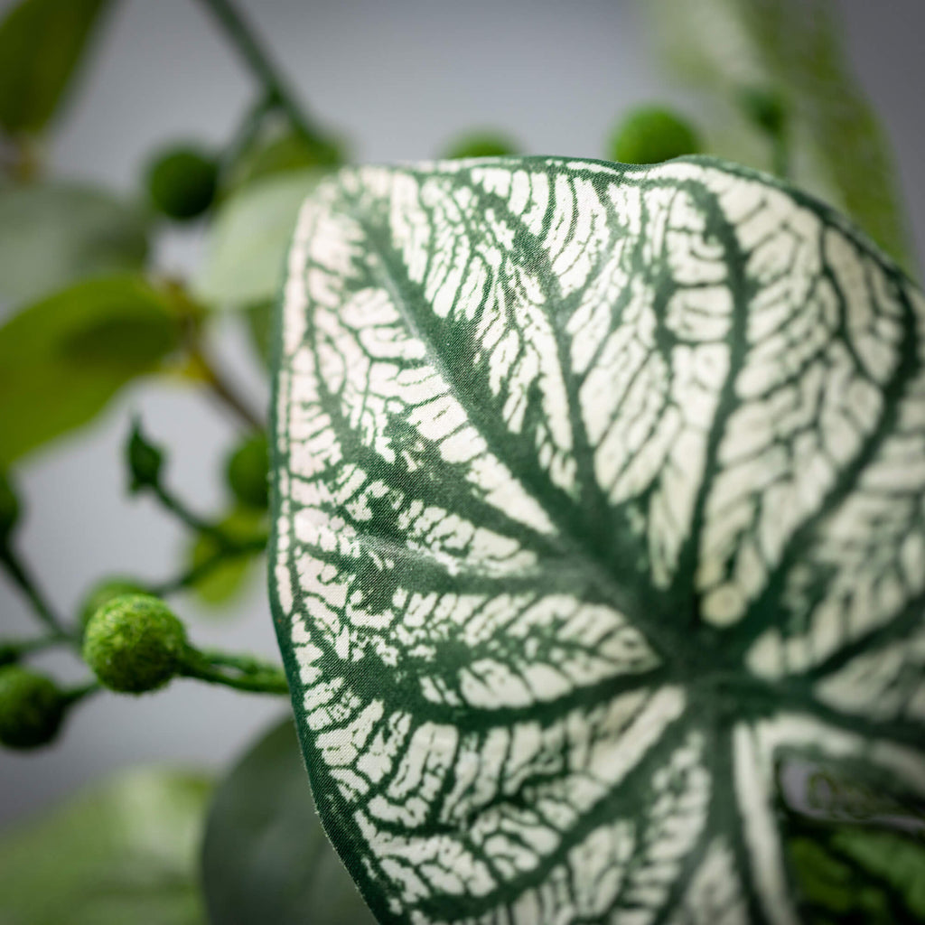 Caladium Eucalyptus Pick      