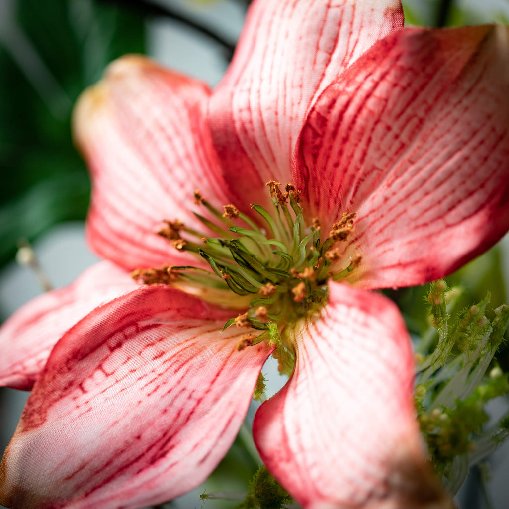 Pleasing Pink Clematis Spray  