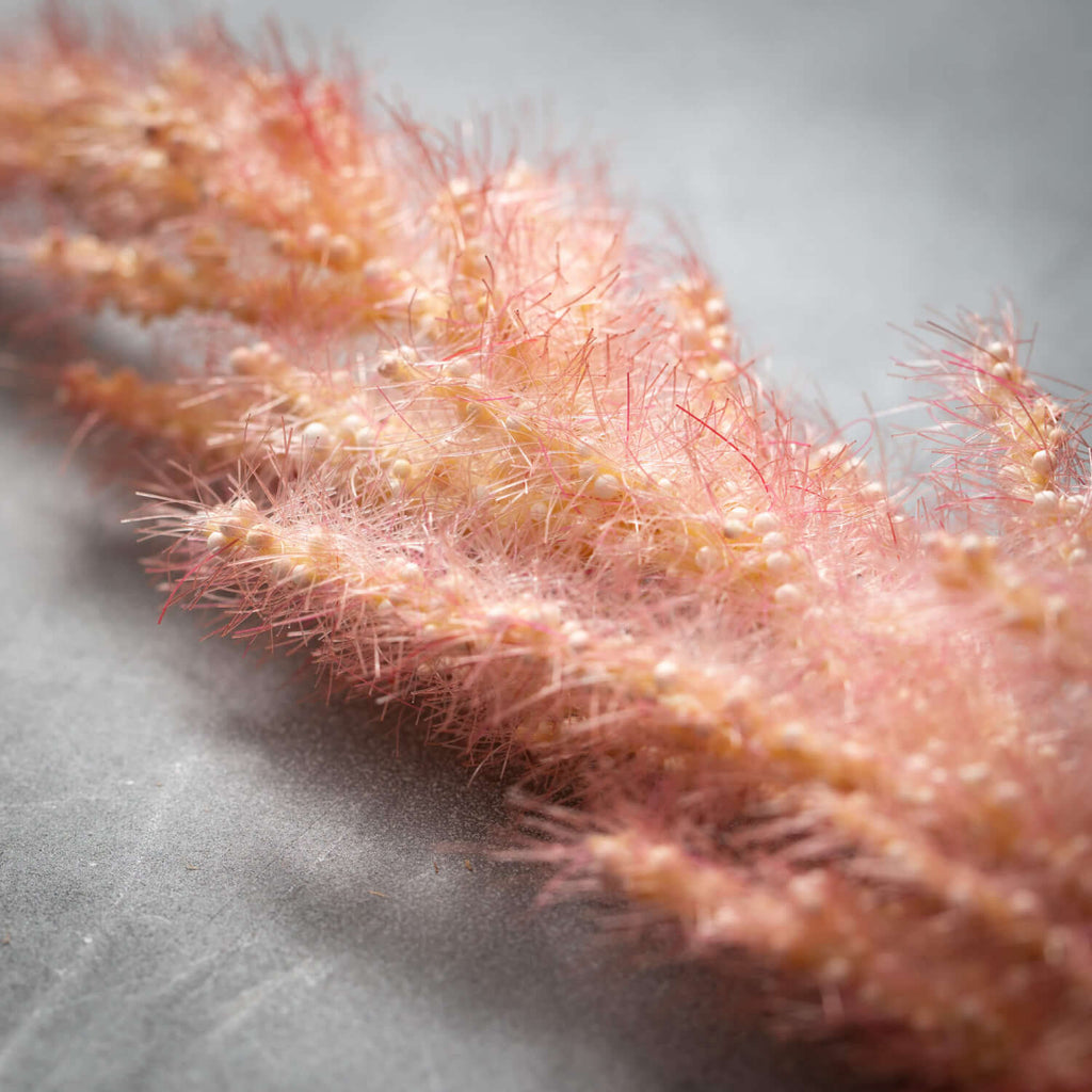 Faux Dried Salmon-Peach Plume 