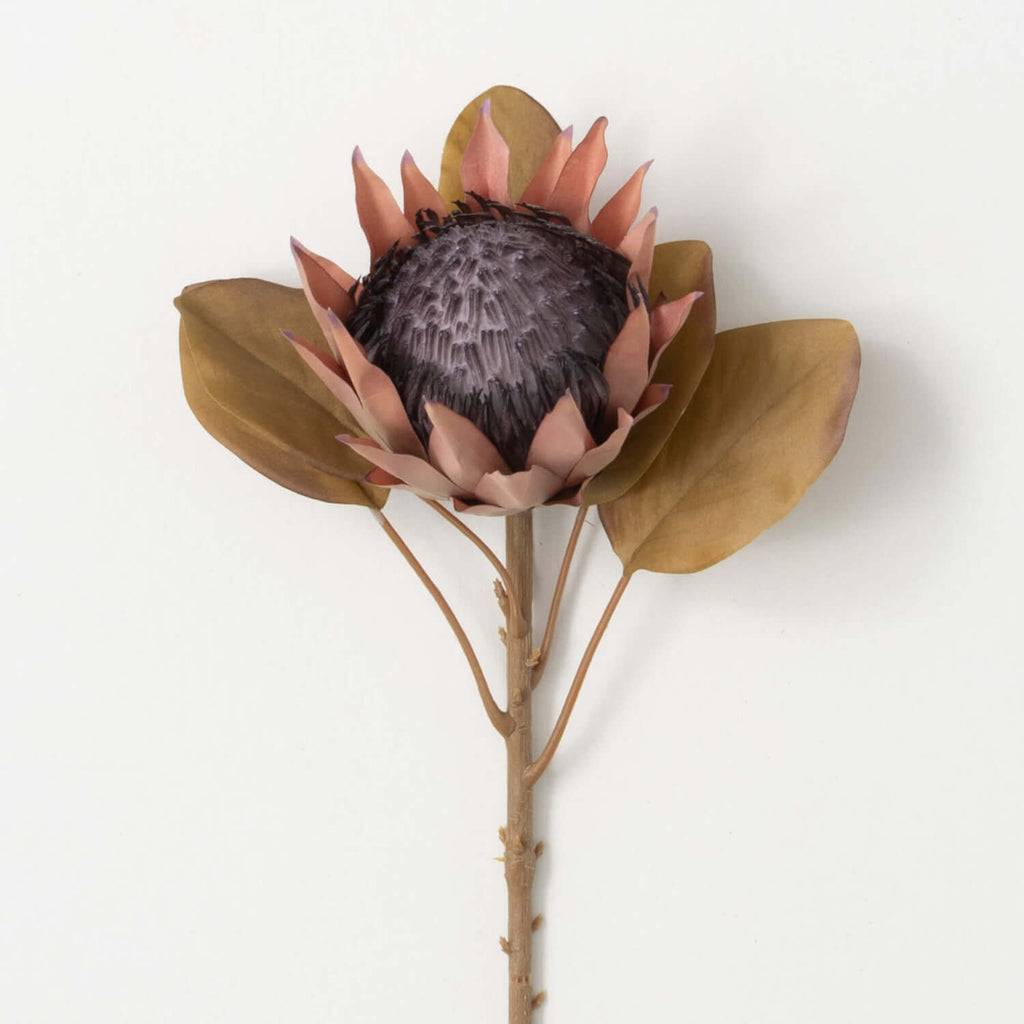 Warm Brown Faux Dried Protea  