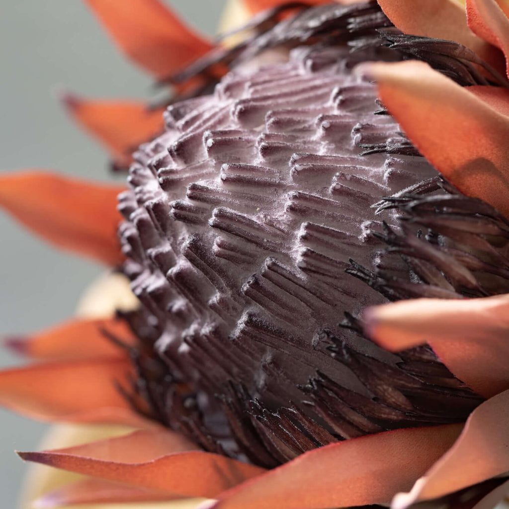 Warm Brown Faux Dried Protea  