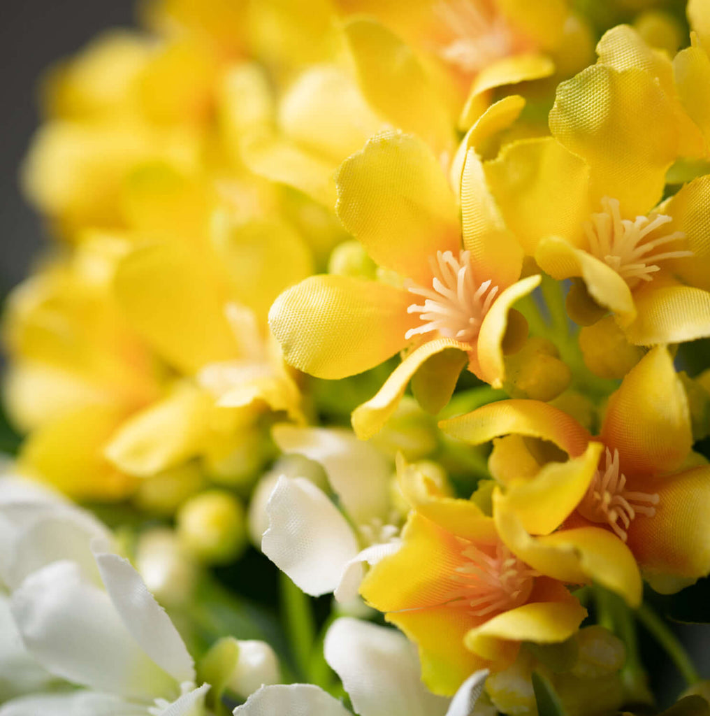 Sunny Bright Flowering Stems  