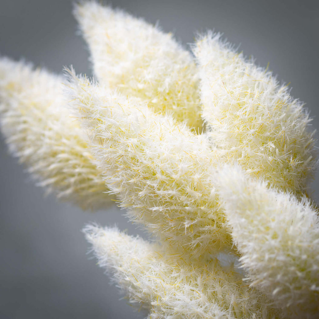 Alabaster Cream Cone Stem     