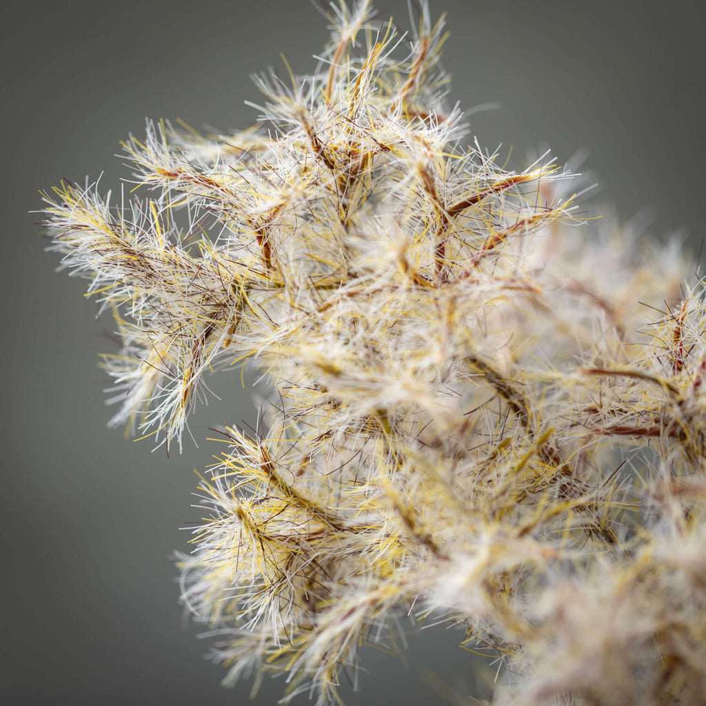 Faux Dried Brown Cotinus Spray