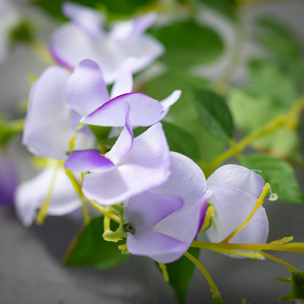 Precious Purple Wisteria      