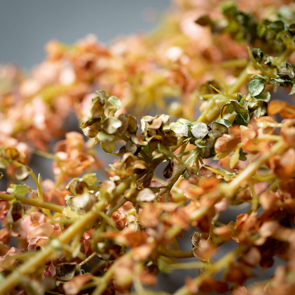 Dried Draping Amaranthus Trio 