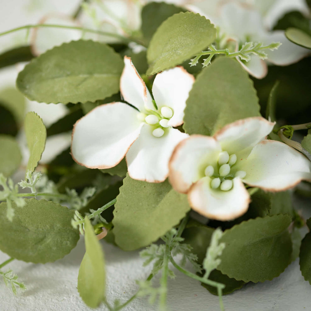 Dogwood Spray                 