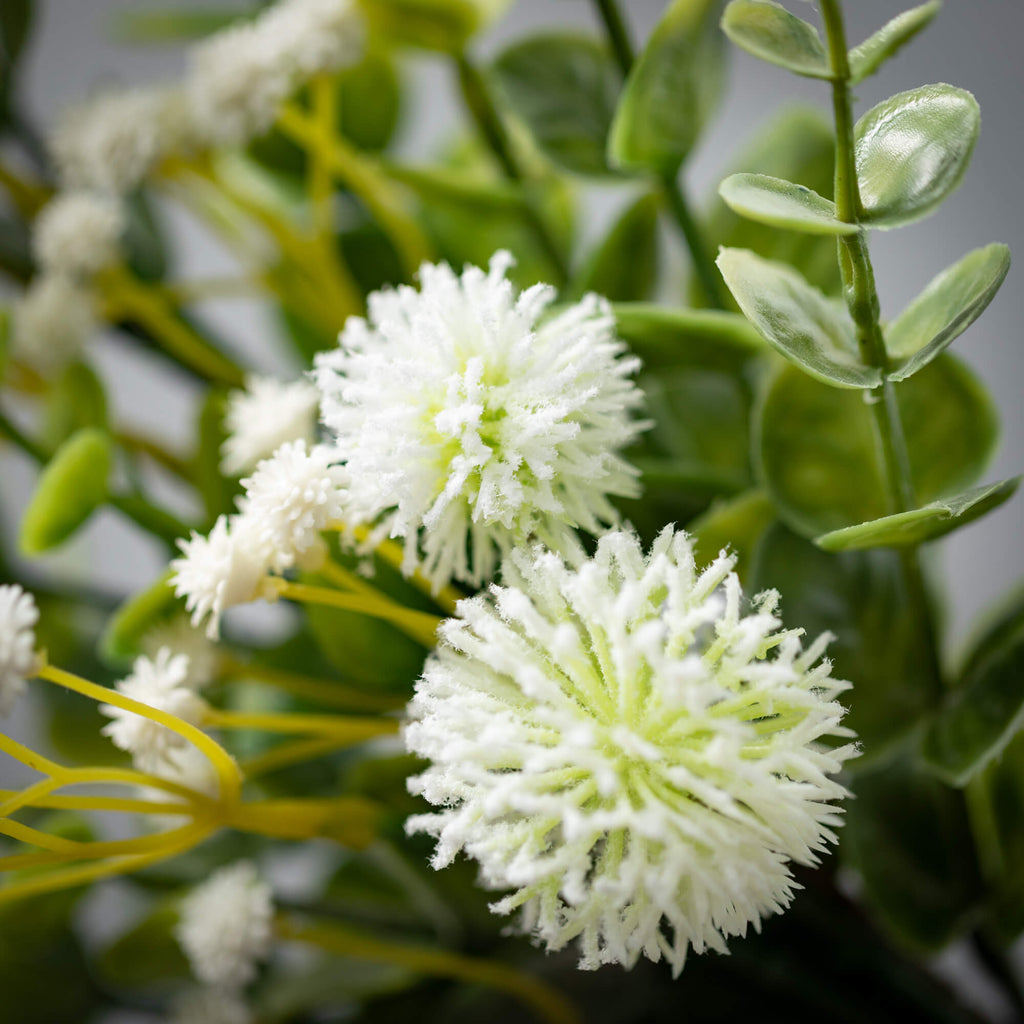 Romantic Eucalyptus Orb       