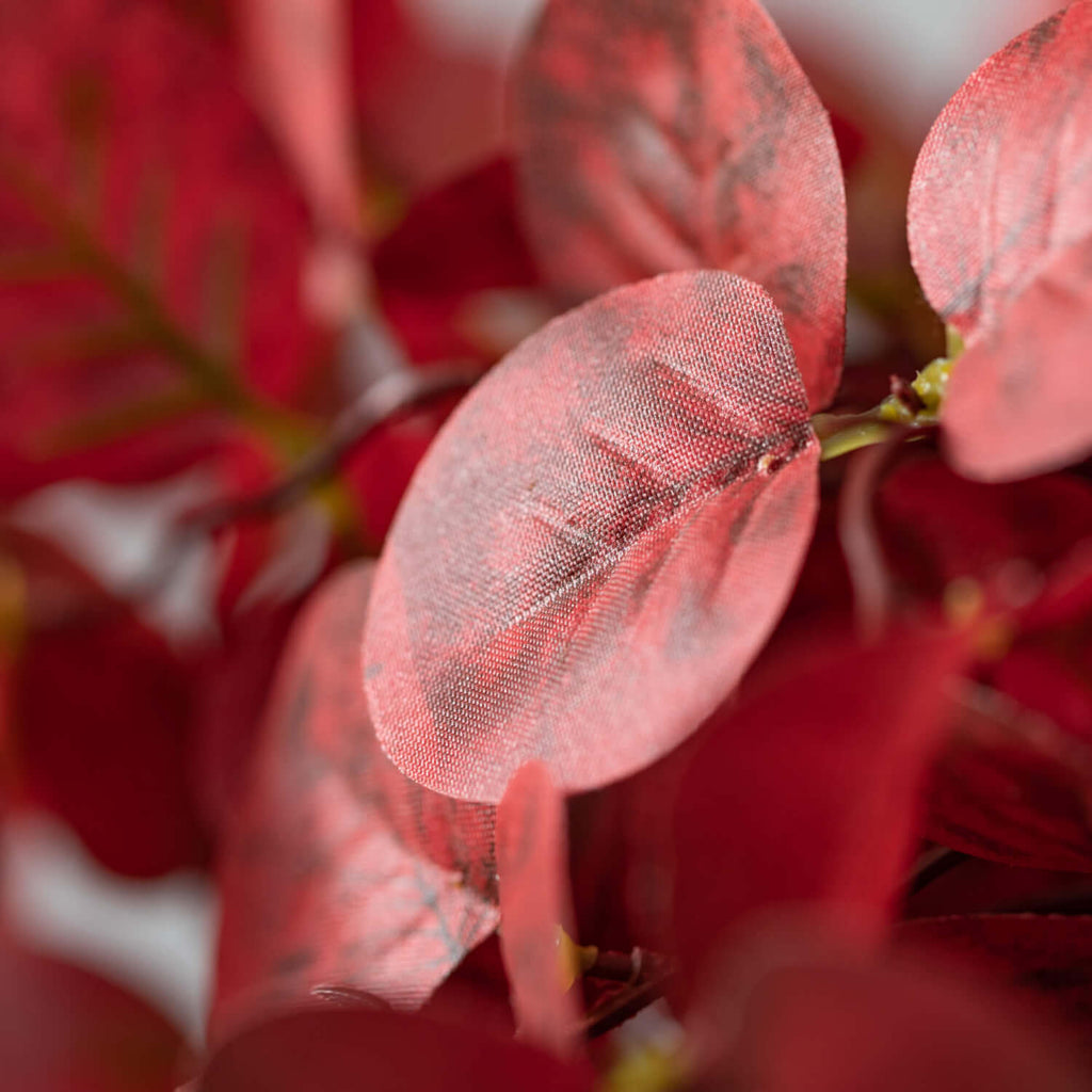 Red Eucalyptus Garland        