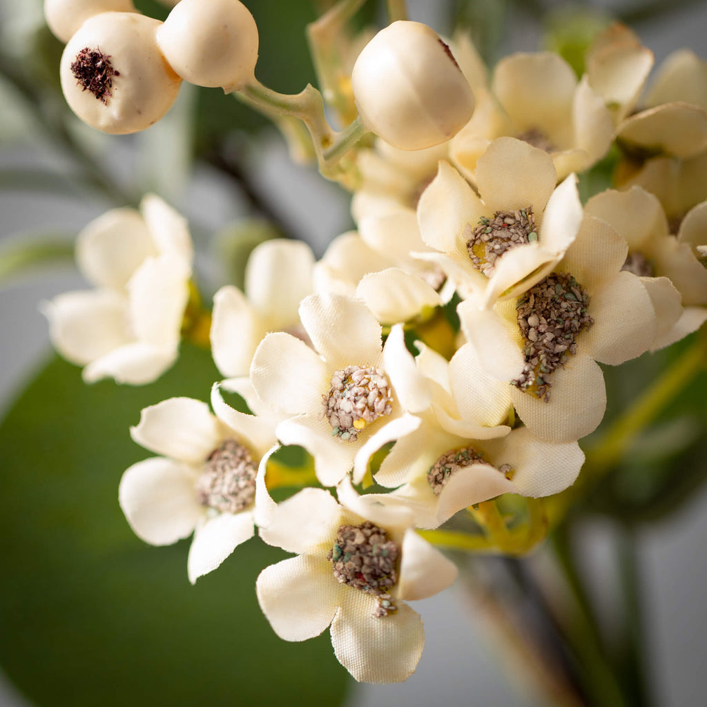 Eucalyptus & Waxflower Ring   