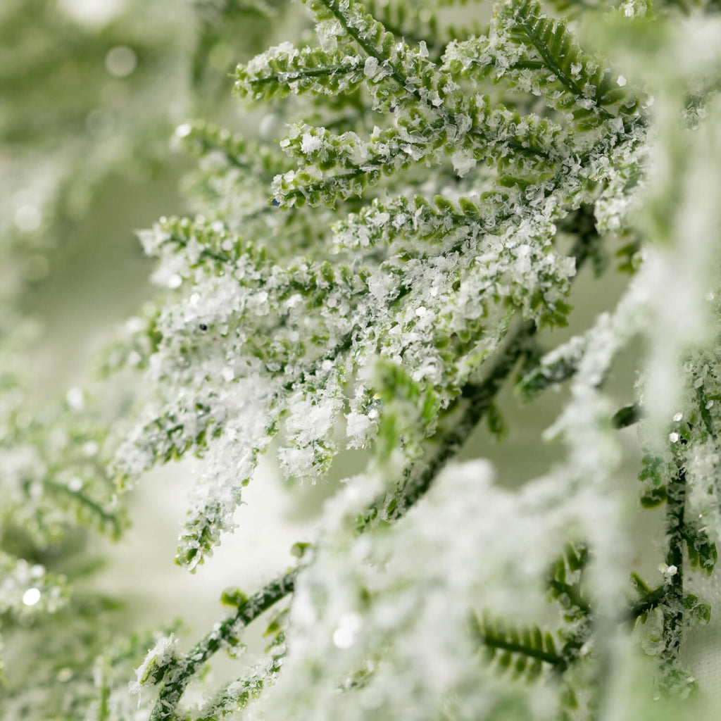 Frosted Fern Accent Ring      